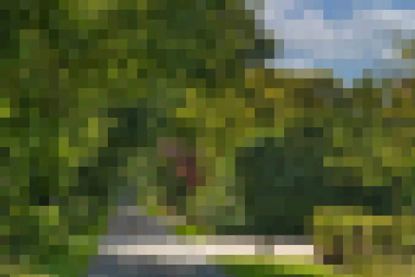 Kortenroelefsweg 2 Haaksbergen thumbnail 28