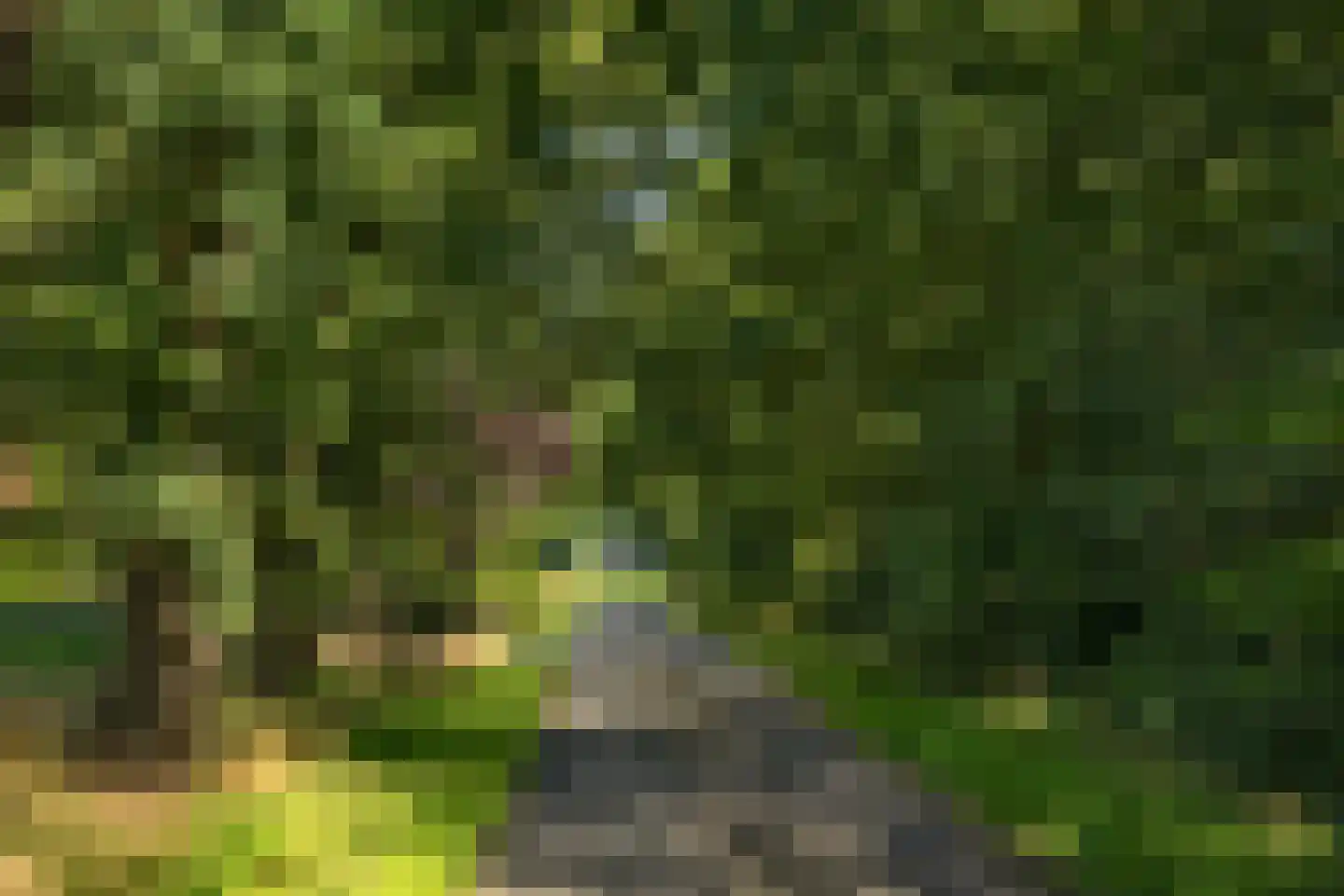 Kortenroelefsweg 2 Haaksbergen thumbnail 29
