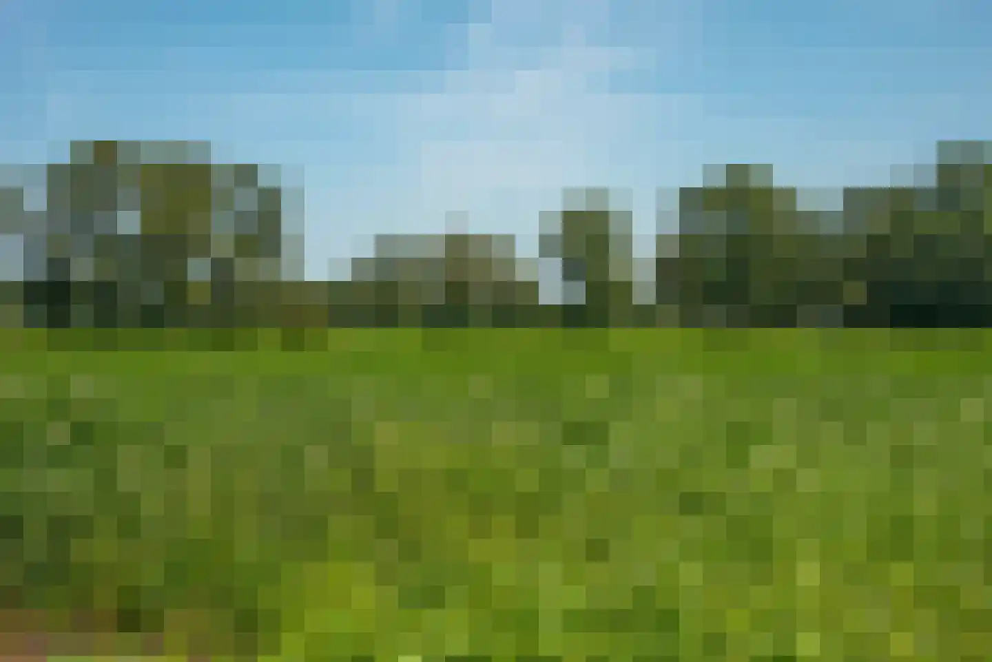 Kortenroelefsweg 2 Haaksbergen thumbnail 4