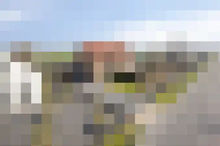 Korteraarseweg 127 B in Ter Aar