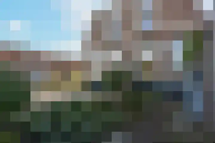 Korteraarseweg 2 Ter Aar foto 3