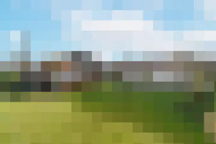 Korteraarseweg 2 Ter Aar thumbnail 35