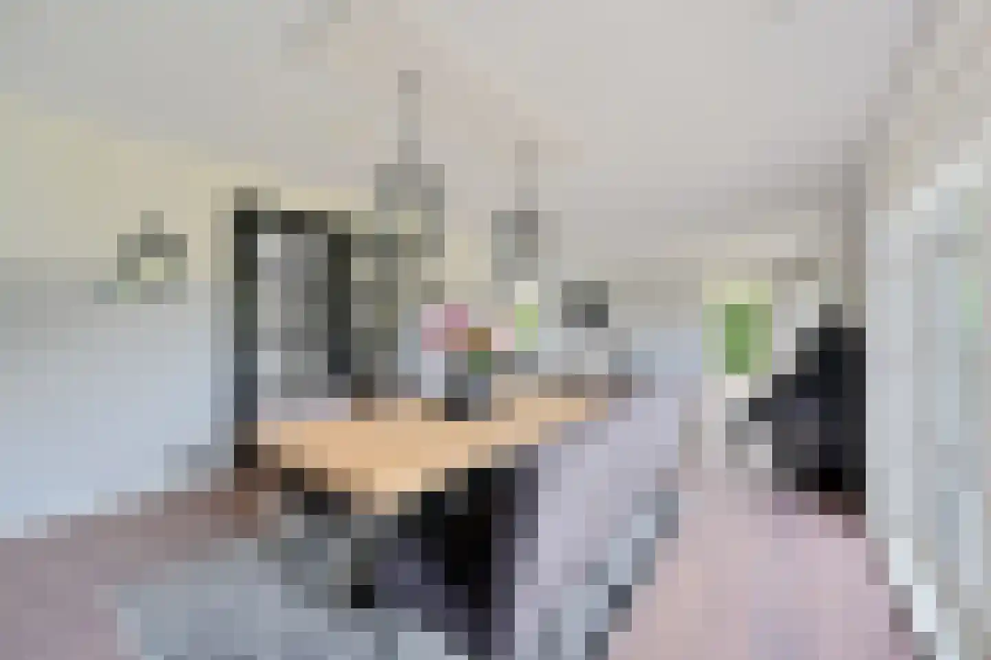 Korteraarseweg 20 Ter Aar thumbnail 13