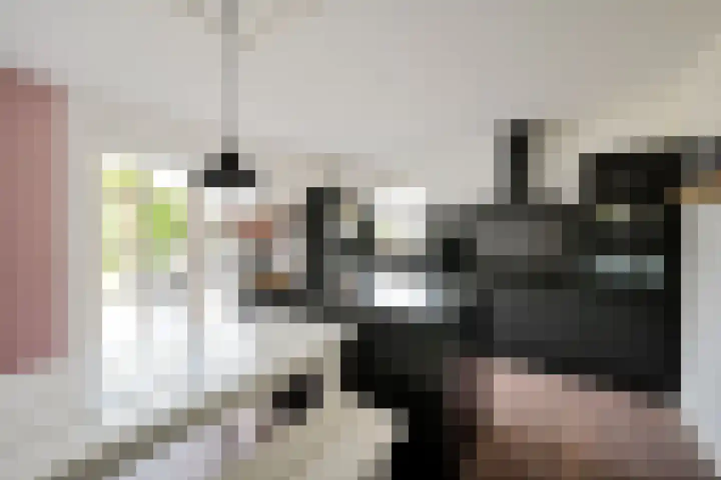 Korteraarseweg 20 Ter Aar thumbnail 16