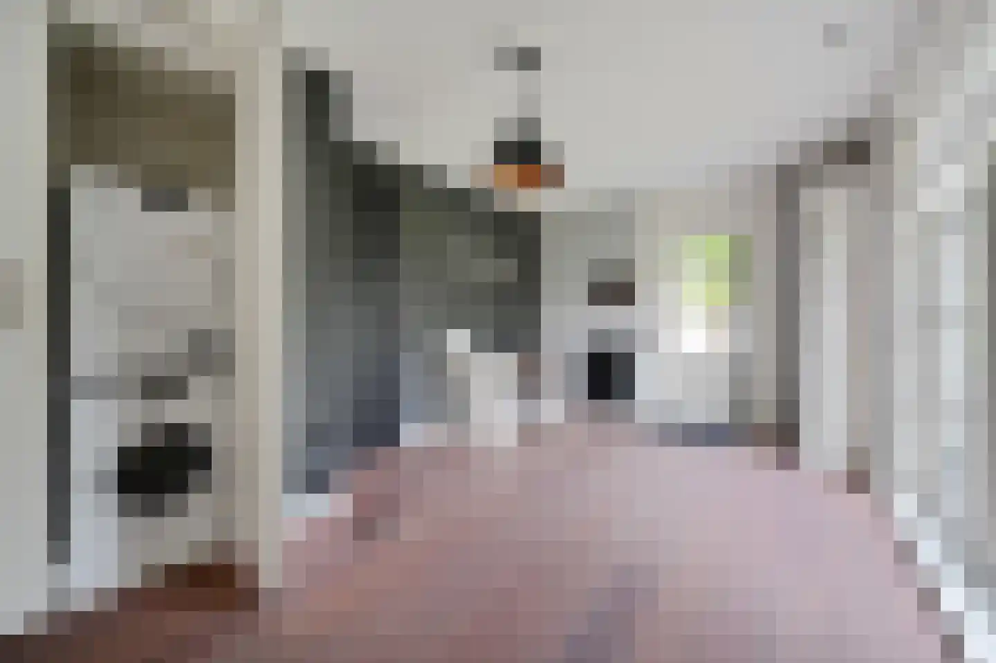 Korteraarseweg 20 Ter Aar thumbnail 18