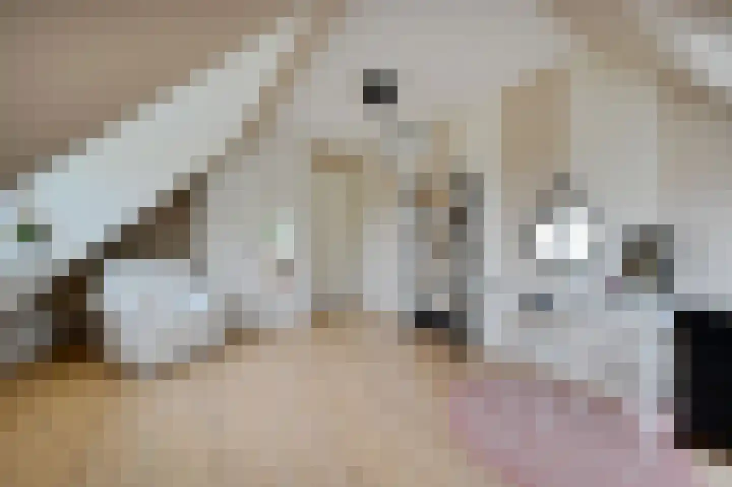 Korteraarseweg 20 Ter Aar thumbnail 35