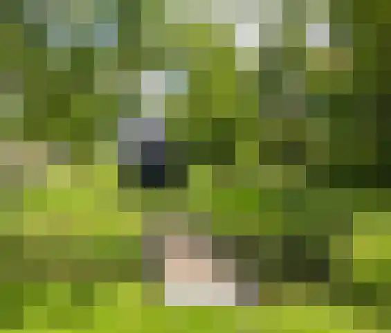 Korteraarseweg 20 Ter Aar thumbnail 52