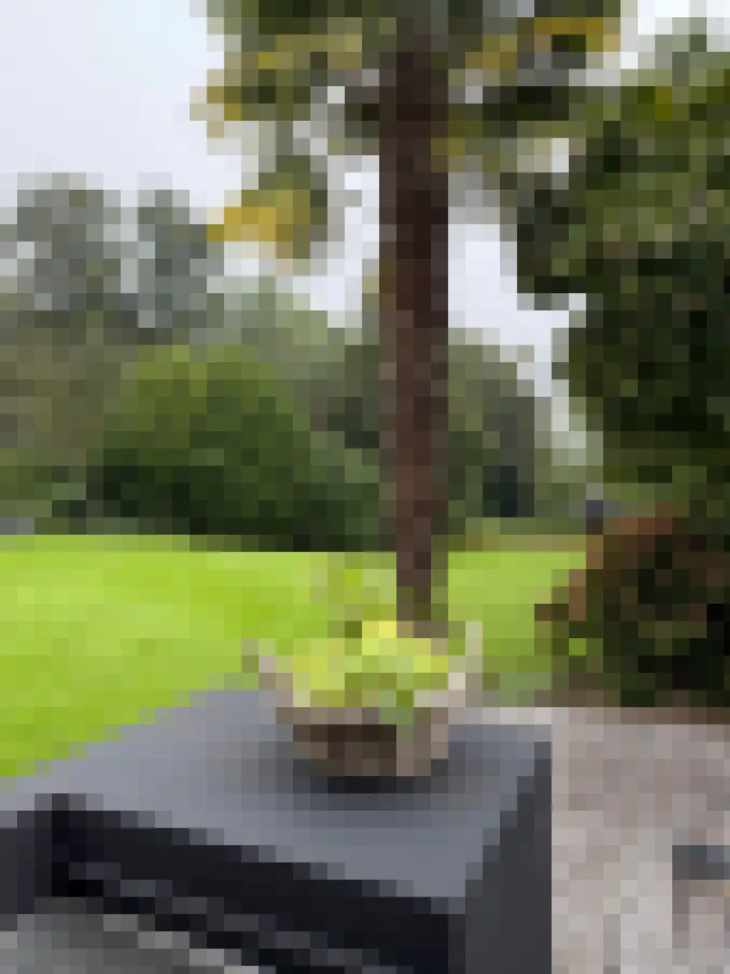 Korteraarseweg 20 Ter Aar thumbnail 55