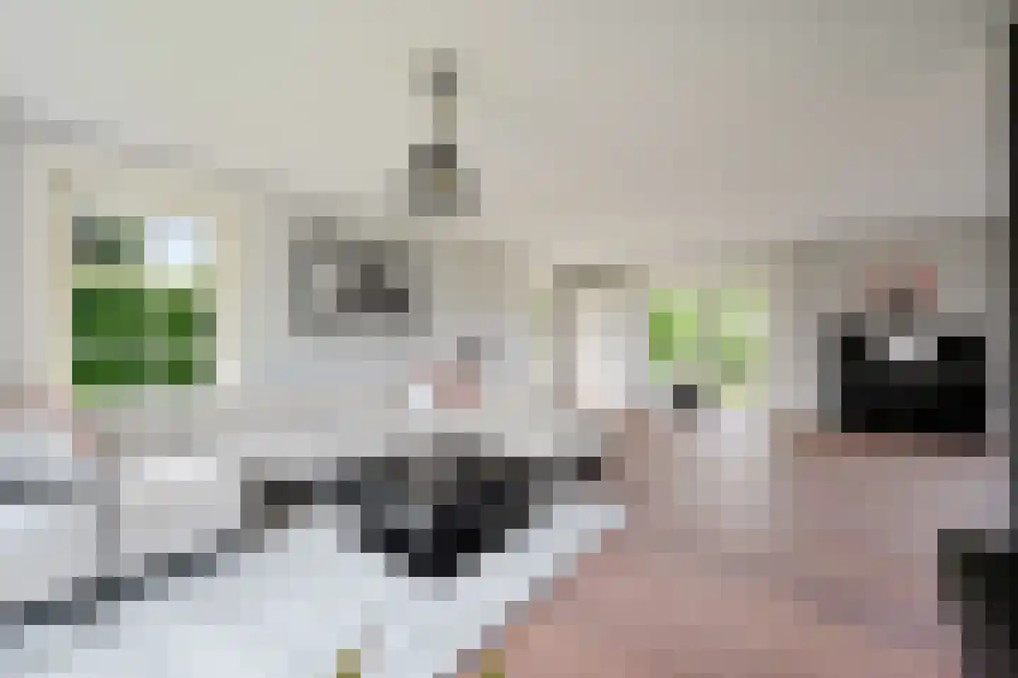 Korteraarseweg 20 Ter Aar thumbnail 6