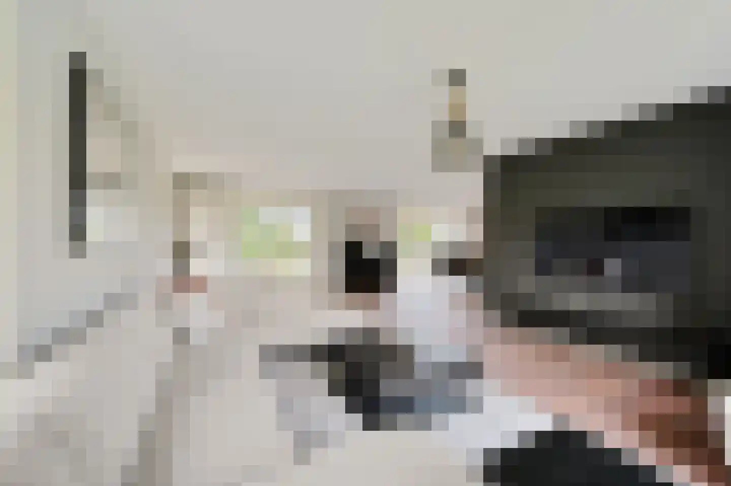 Korteraarseweg 20 Ter Aar thumbnail 9