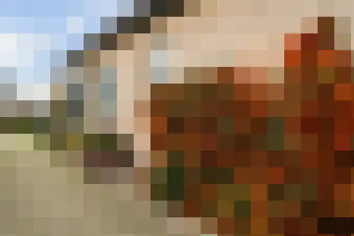 Korteraarseweg 25 B Ter Aar thumbnail 10