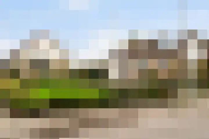 Korteraarseweg 25 B Ter Aar foto 2
