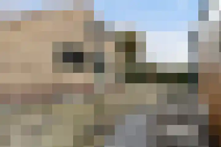 Korteraarseweg 25 B Ter Aar thumbnail 32