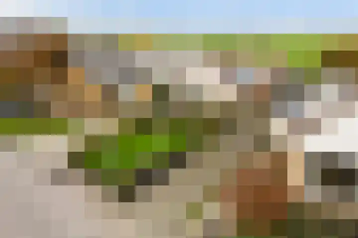 Korteraarseweg 25 B Ter Aar thumbnail 4