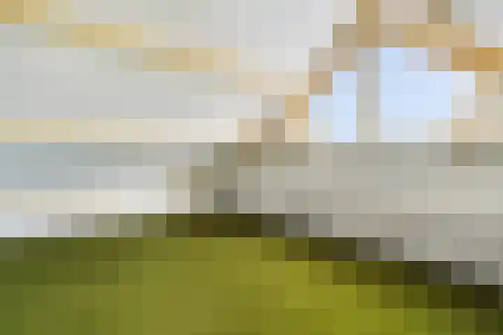 Korteraarseweg 25 B Ter Aar thumbnail 47