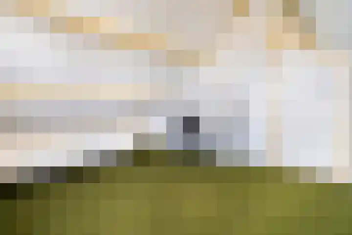 Korteraarseweg 25 B Ter Aar thumbnail 48