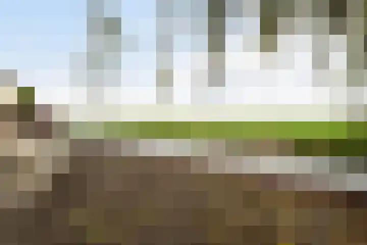 Korteraarseweg 25 B Ter Aar thumbnail 49