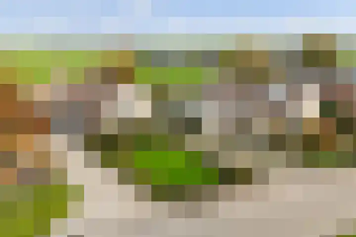 Korteraarseweg 25 B Ter Aar thumbnail 5