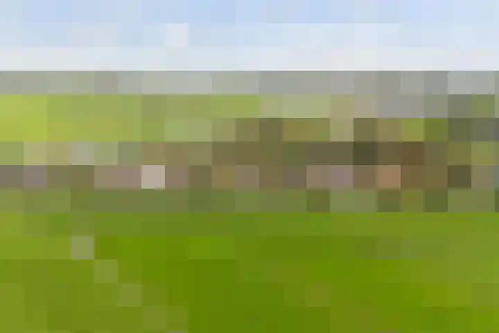 Korteraarseweg 25 B Ter Aar thumbnail 53