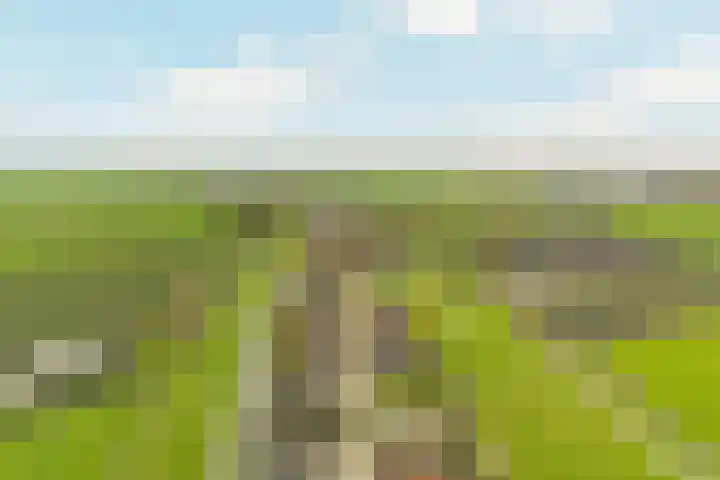 Korteraarseweg 25 B Ter Aar thumbnail 54