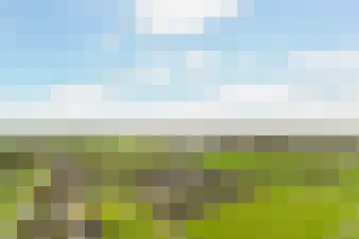 Korteraarseweg 25 B Ter Aar thumbnail 55