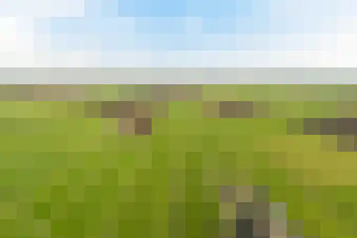 Korteraarseweg 25 B Ter Aar thumbnail 56