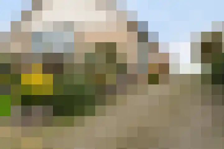 Korteraarseweg 25 B Ter Aar thumbnail 9