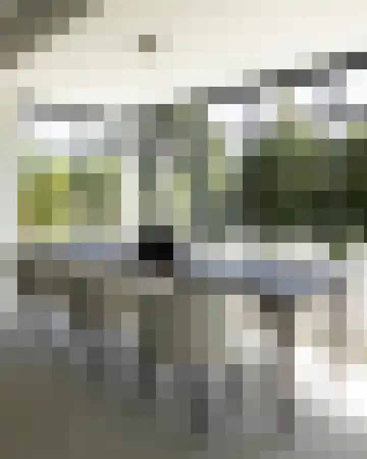 Korteraarseweg 28 Ter Aar thumbnail 15