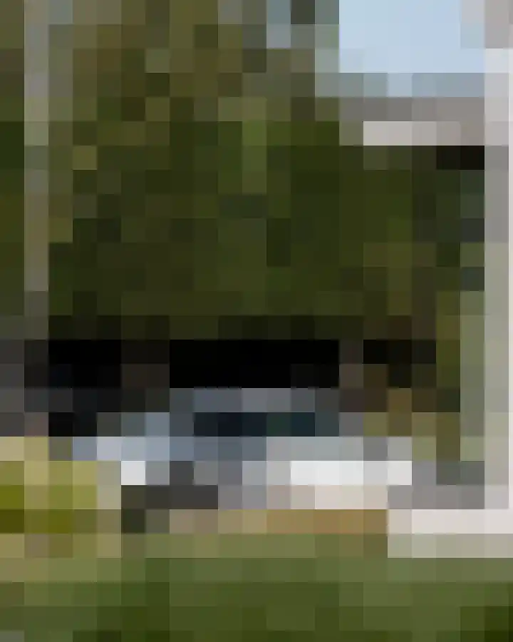 Korteraarseweg 28 Ter Aar thumbnail 39