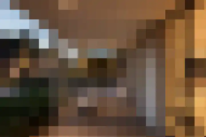 Korteraarseweg 28 Ter Aar thumbnail 60