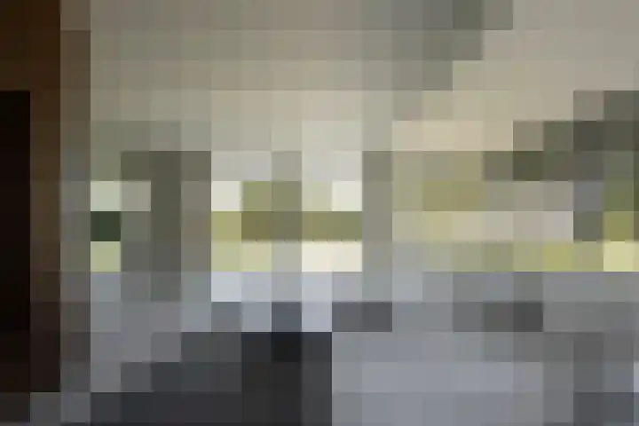 Korteraarseweg 28 Ter Aar thumbnail 8