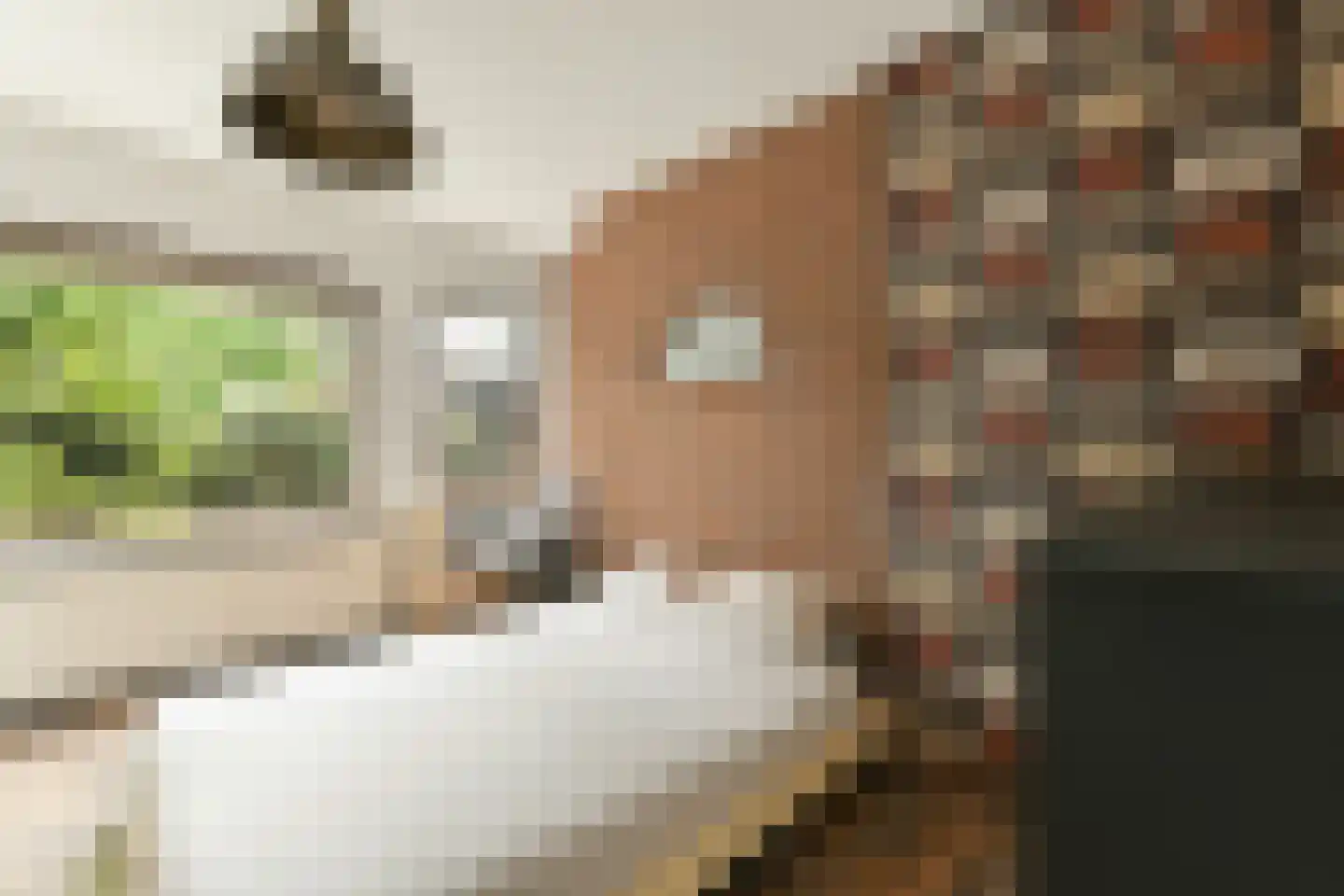 Korteraarseweg 53 E Ter Aar thumbnail 17