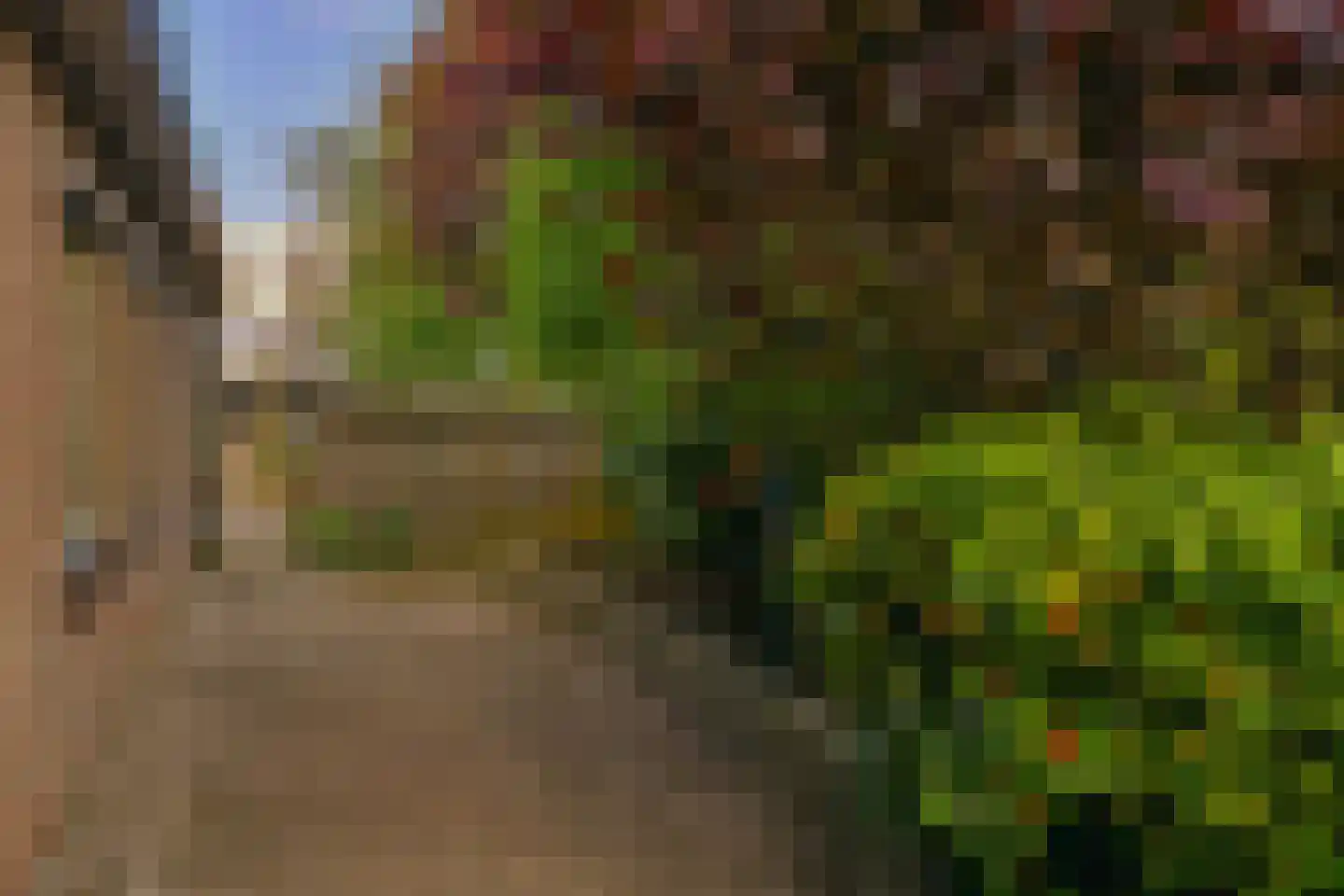 Korteraarseweg 53 E Ter Aar thumbnail 18