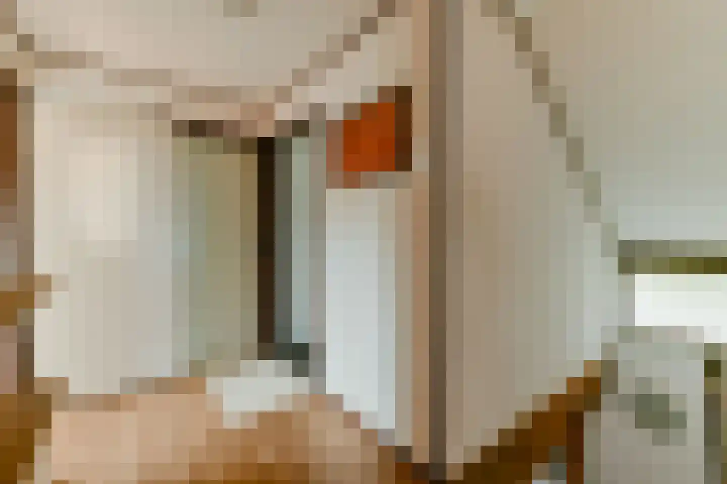 Korteraarseweg 53 E Ter Aar thumbnail 23