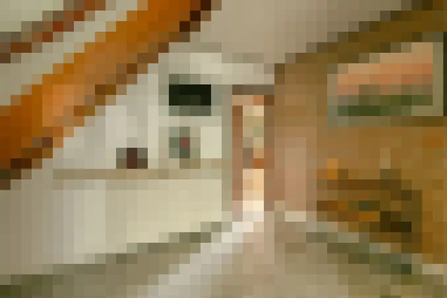 Korteraarseweg 53 E Ter Aar thumbnail 5