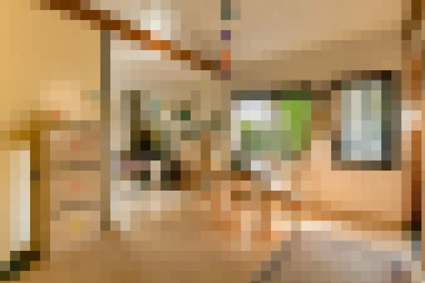 Korteraarseweg 53 E Ter Aar thumbnail 6