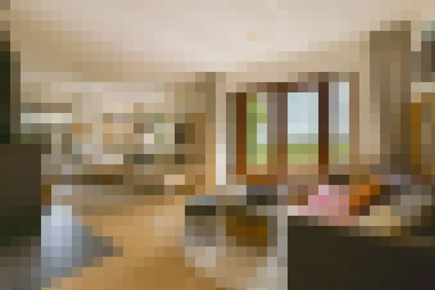 Korteraarseweg 53 E Ter Aar thumbnail 9
