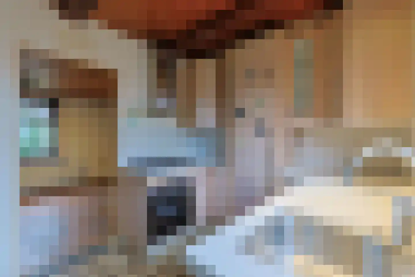 Korteraarseweg 6 Ter Aar thumbnail 22