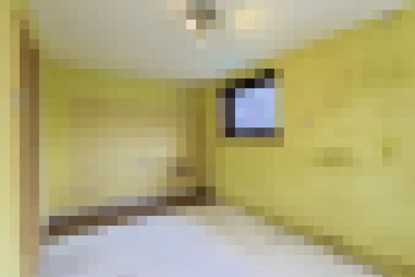 Korteraarseweg 6 Ter Aar thumbnail 27