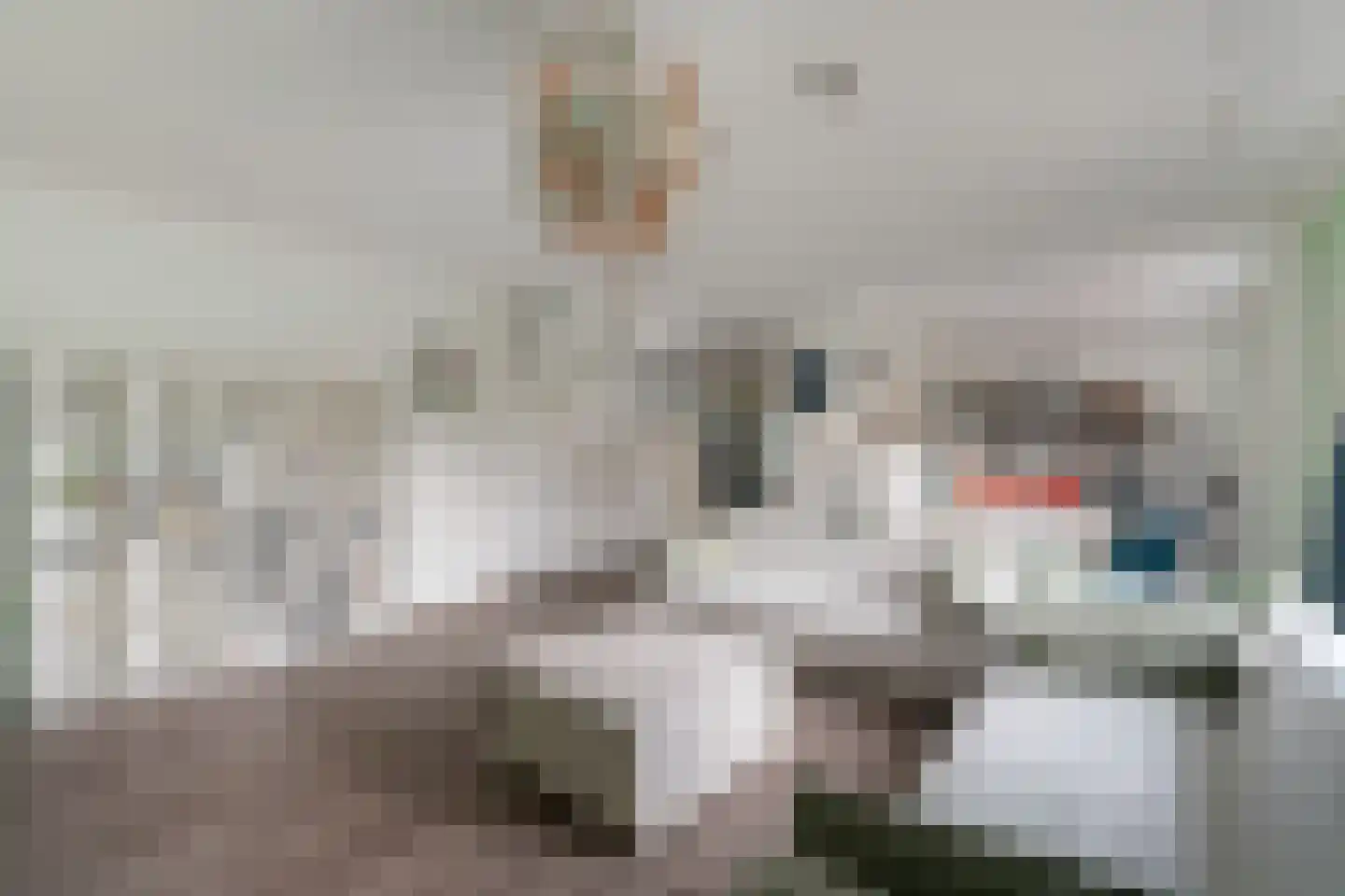 Korteraarseweg 67 Ter Aar thumbnail 14