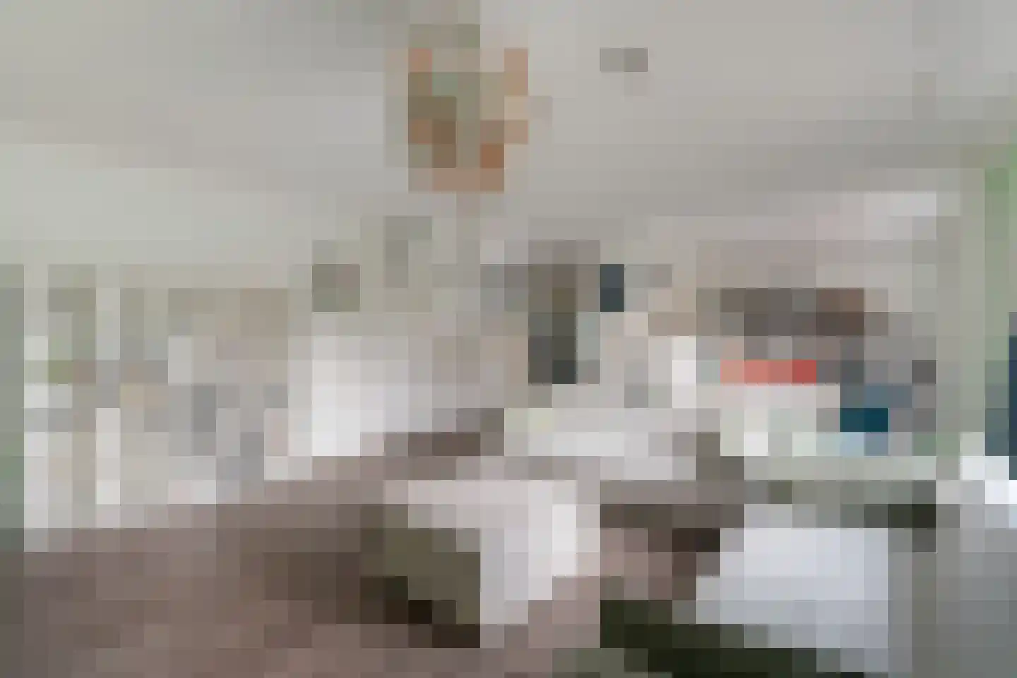 Korteraarseweg 67 Ter Aar thumbnail 15