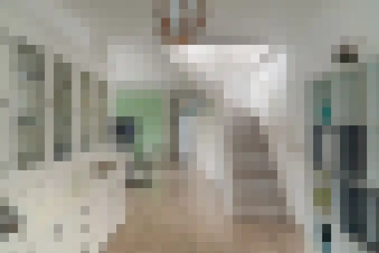 Korteraarseweg 67 Ter Aar thumbnail 17