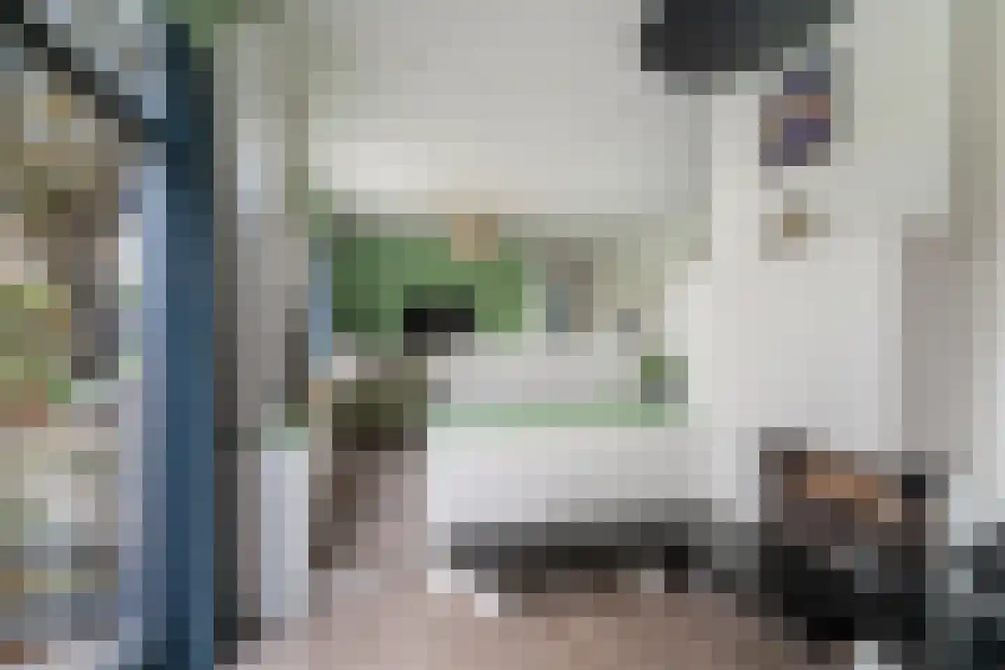 Korteraarseweg 67 Ter Aar thumbnail 18