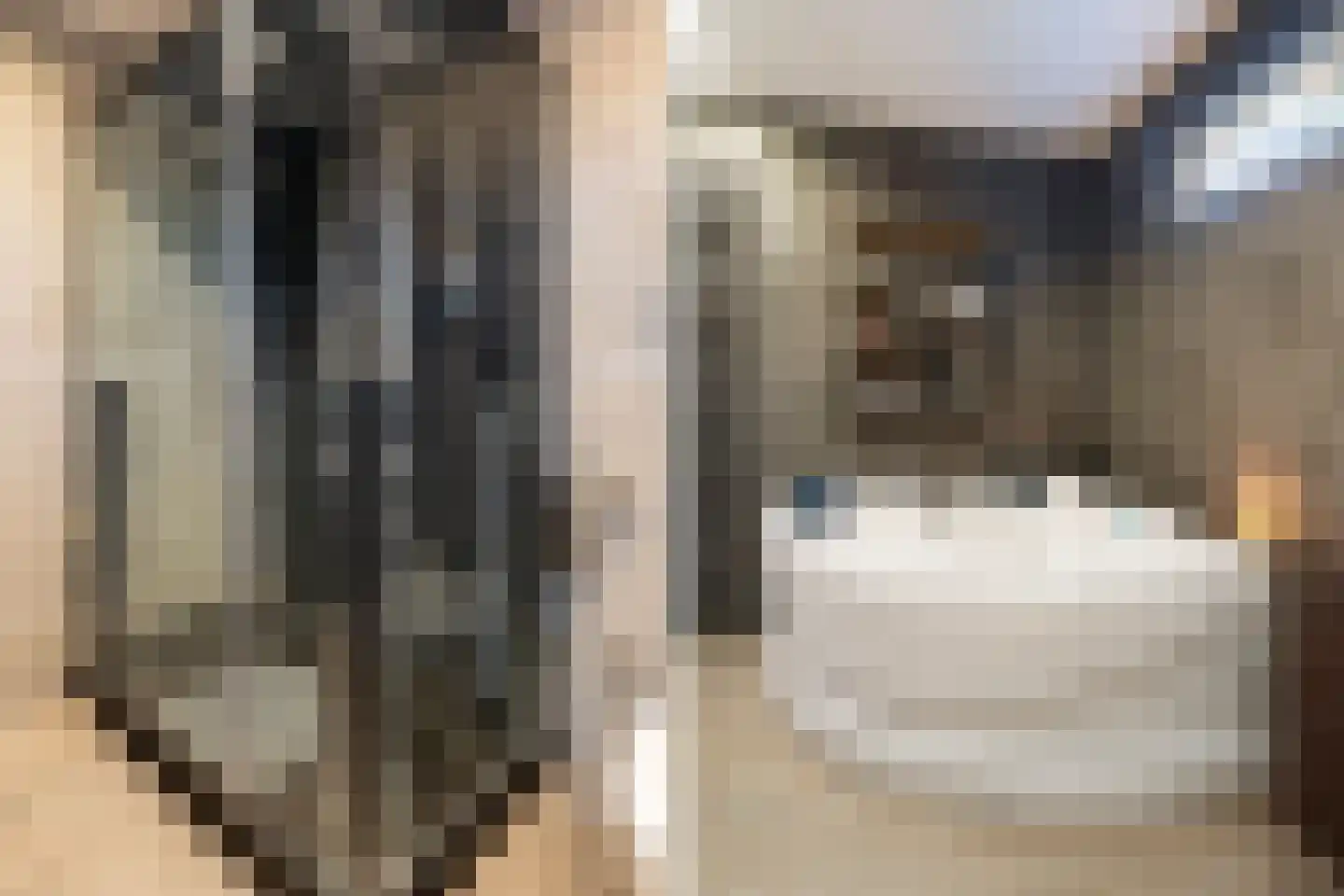 Korteraarseweg 67 Ter Aar thumbnail 34