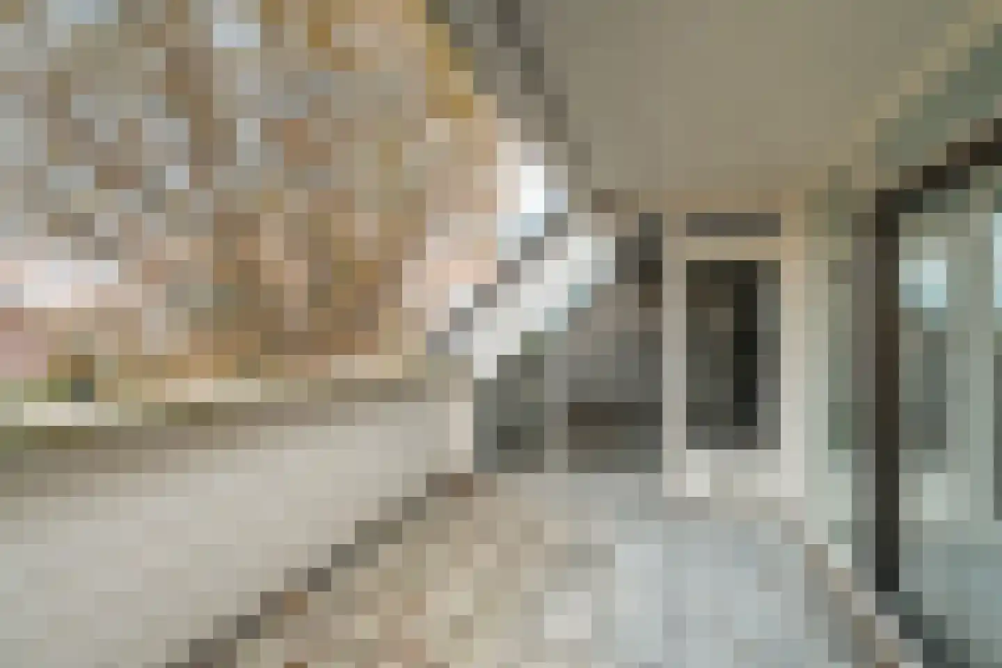 Korteraarseweg 67 Ter Aar thumbnail 45