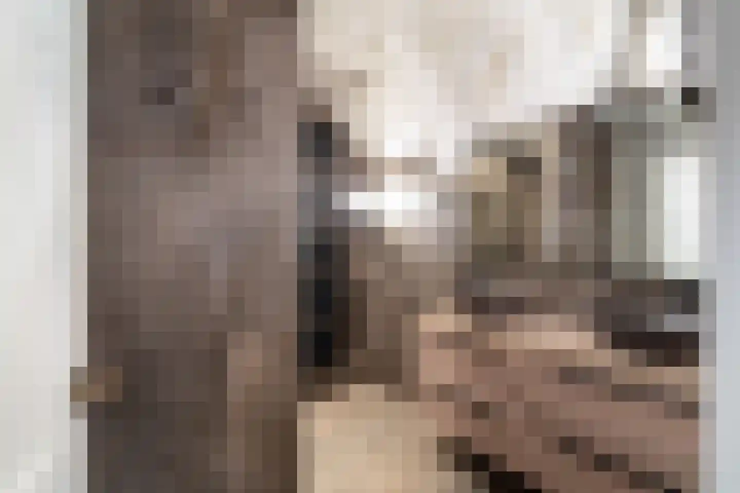 Korteraarseweg 67 Ter Aar thumbnail 46