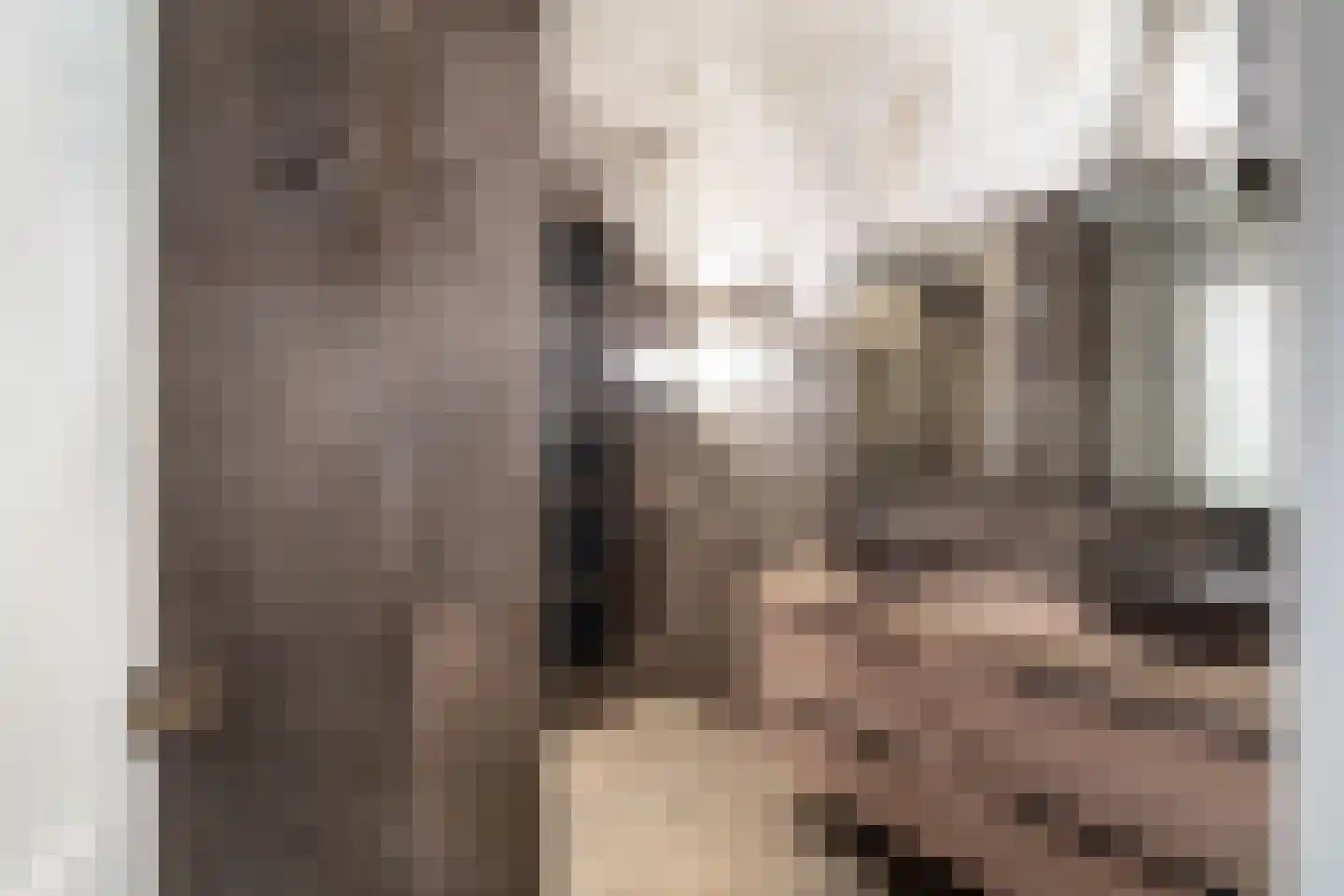 Korteraarseweg 67 Ter Aar thumbnail 47