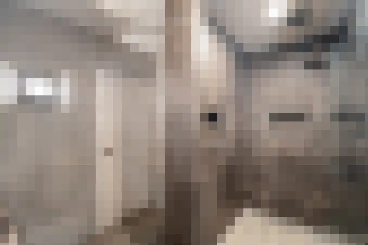 Korteraarseweg 67 Ter Aar thumbnail 47