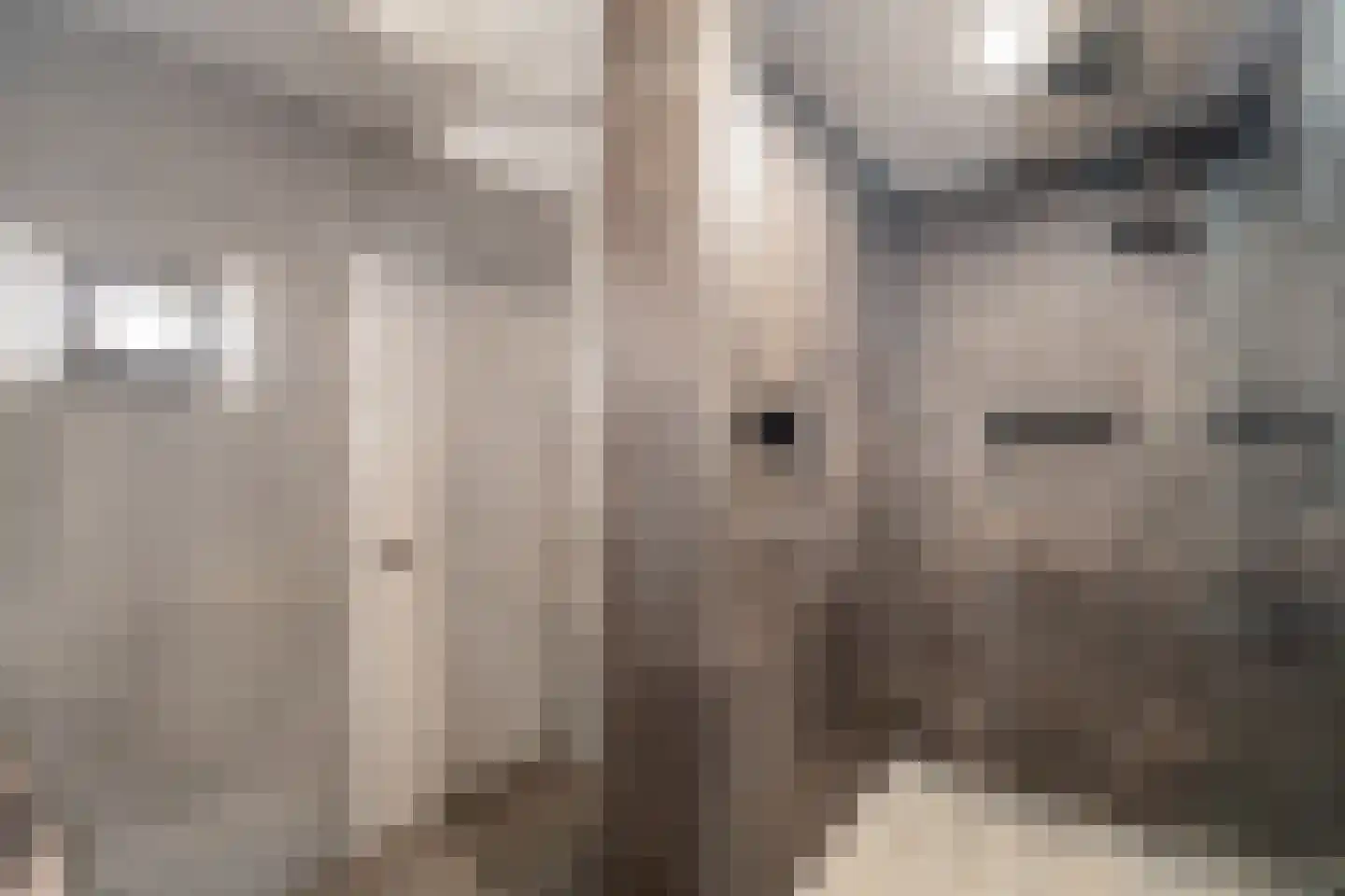 Korteraarseweg 67 Ter Aar thumbnail 48