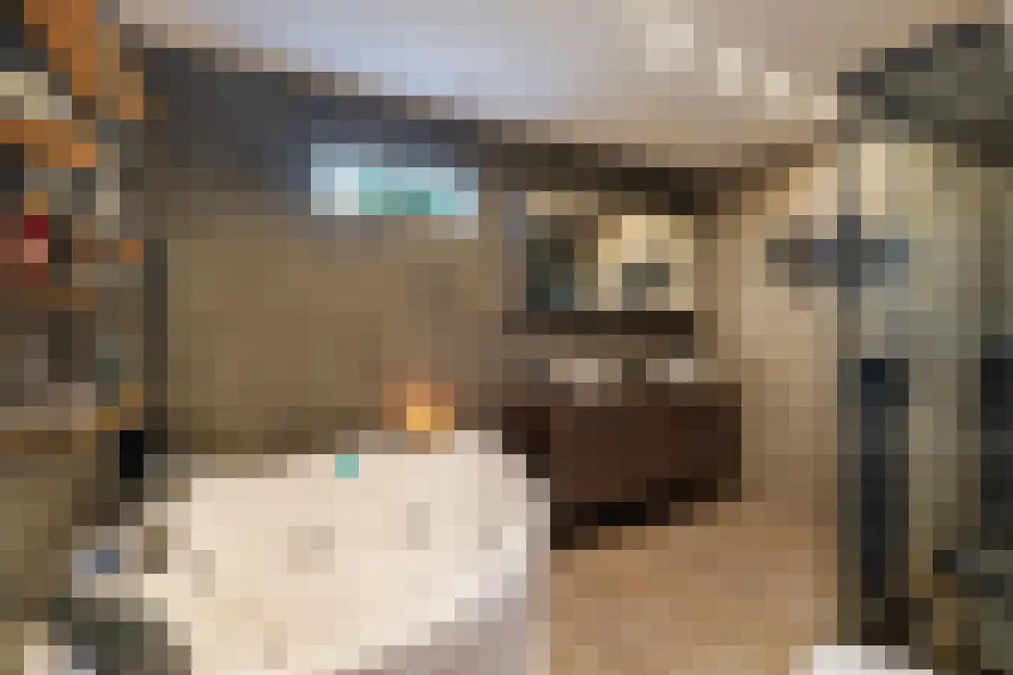 Korteraarseweg 67 Ter Aar thumbnail 5